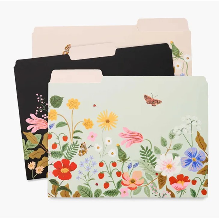 Assorted File Folders - Strawberry field | Buk & Nola