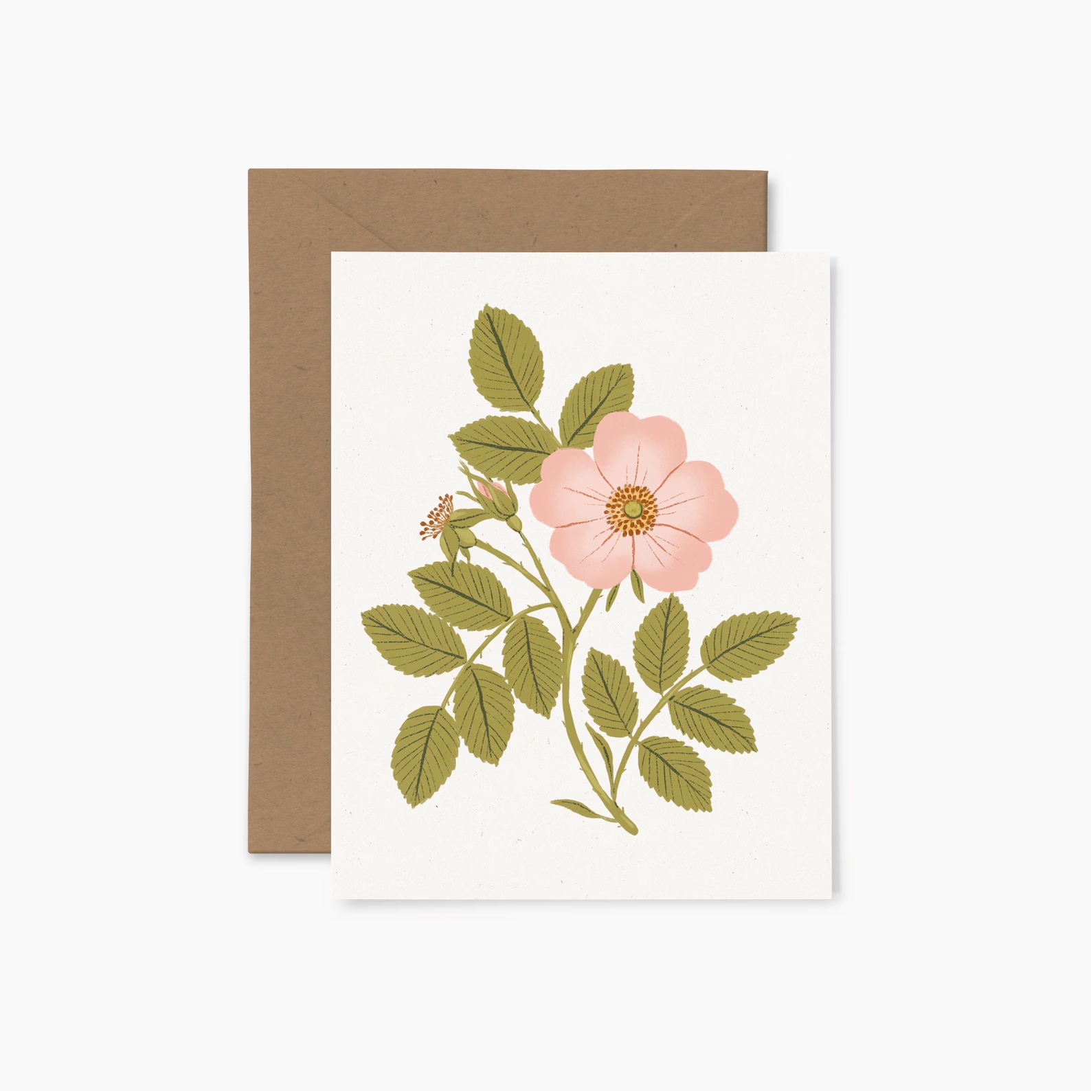 Card - Wild rose | Buk & Nola
