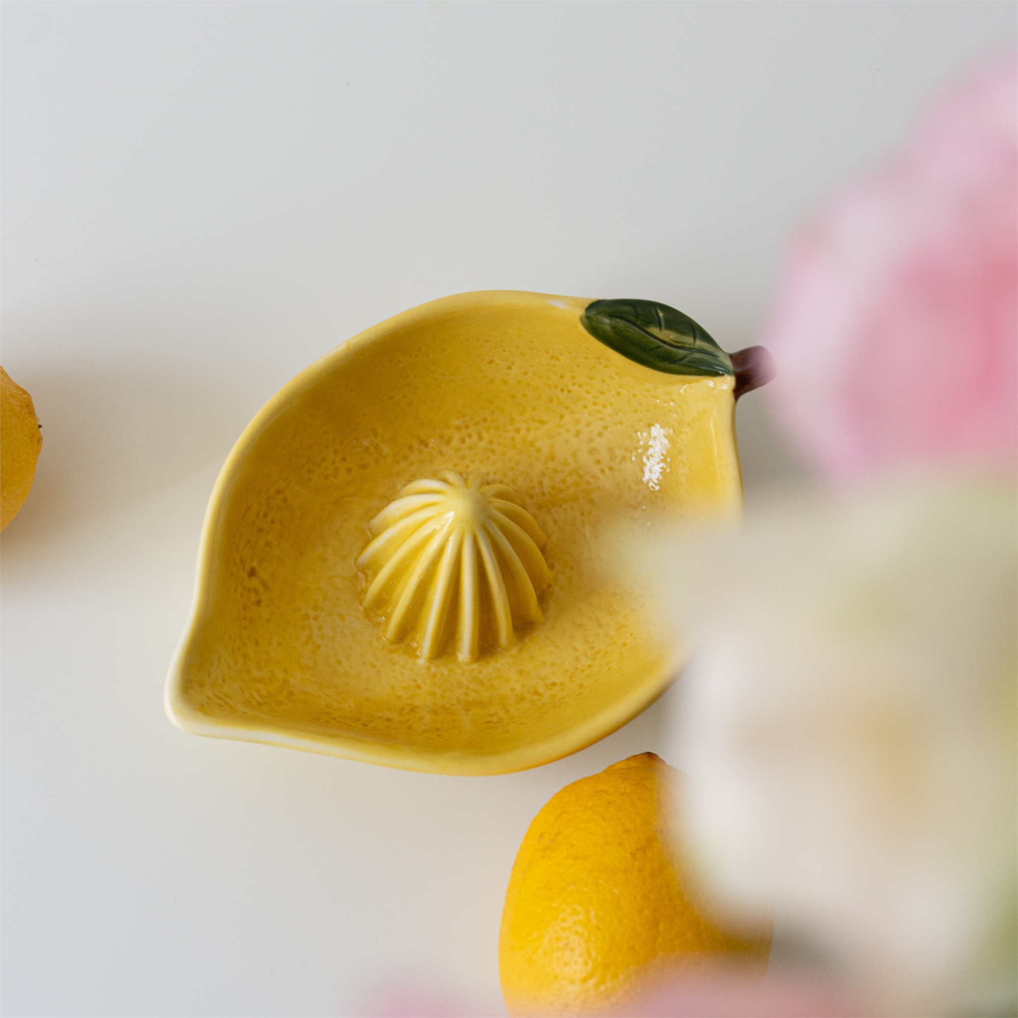 Juicer-Lemon-Buk-Nola-40983.