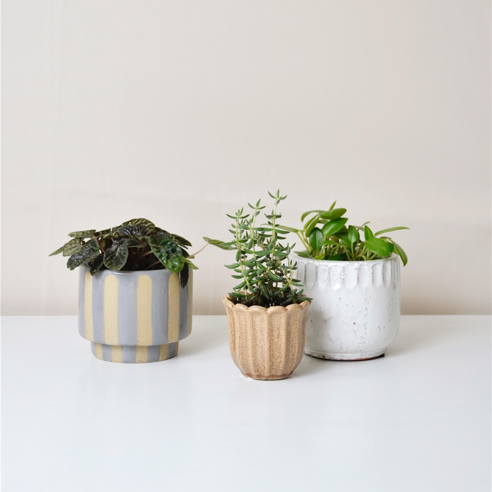 Planters + hanging pots